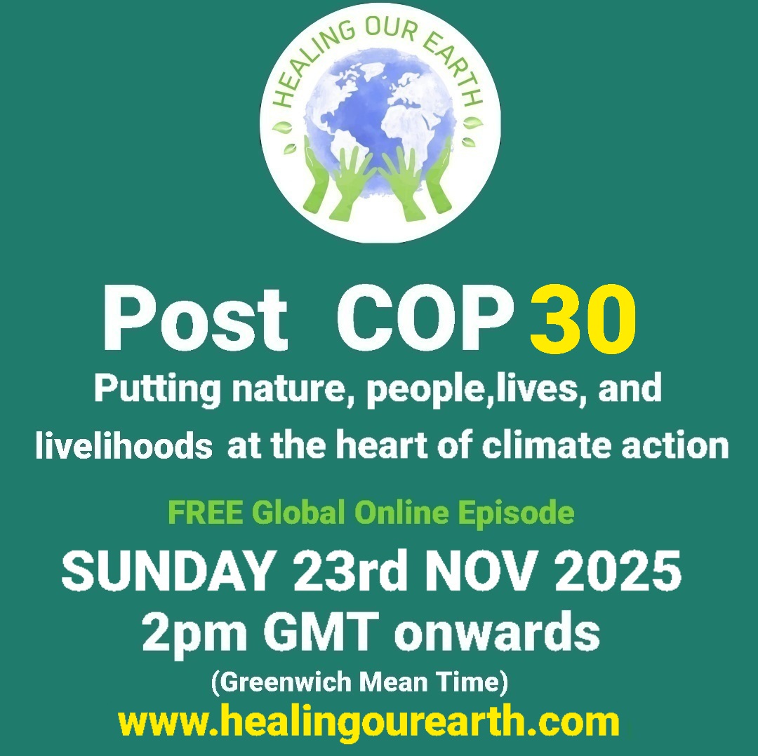 A promotional graphic for "Post COP 29: In Solidarity for a Green World," a free global online episode on Sunday, 24th Nov 2024, at 2 pm GMT. Features a logo of hands cradling a globe under the text "HEALING OUR EARTH." Website: www.healingourearth.com.