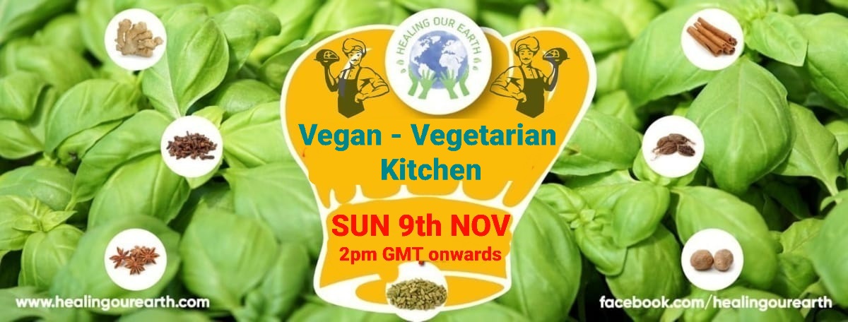 Banner for International Yoga Day Special with a figure in a yoga pose on the left and a meditating silhouette on the right. Event details in bright text: "Sunday 22nd June 2025, 2pm BST onwards." Includes the "Healing Our Earth" logo and website links for more information.
