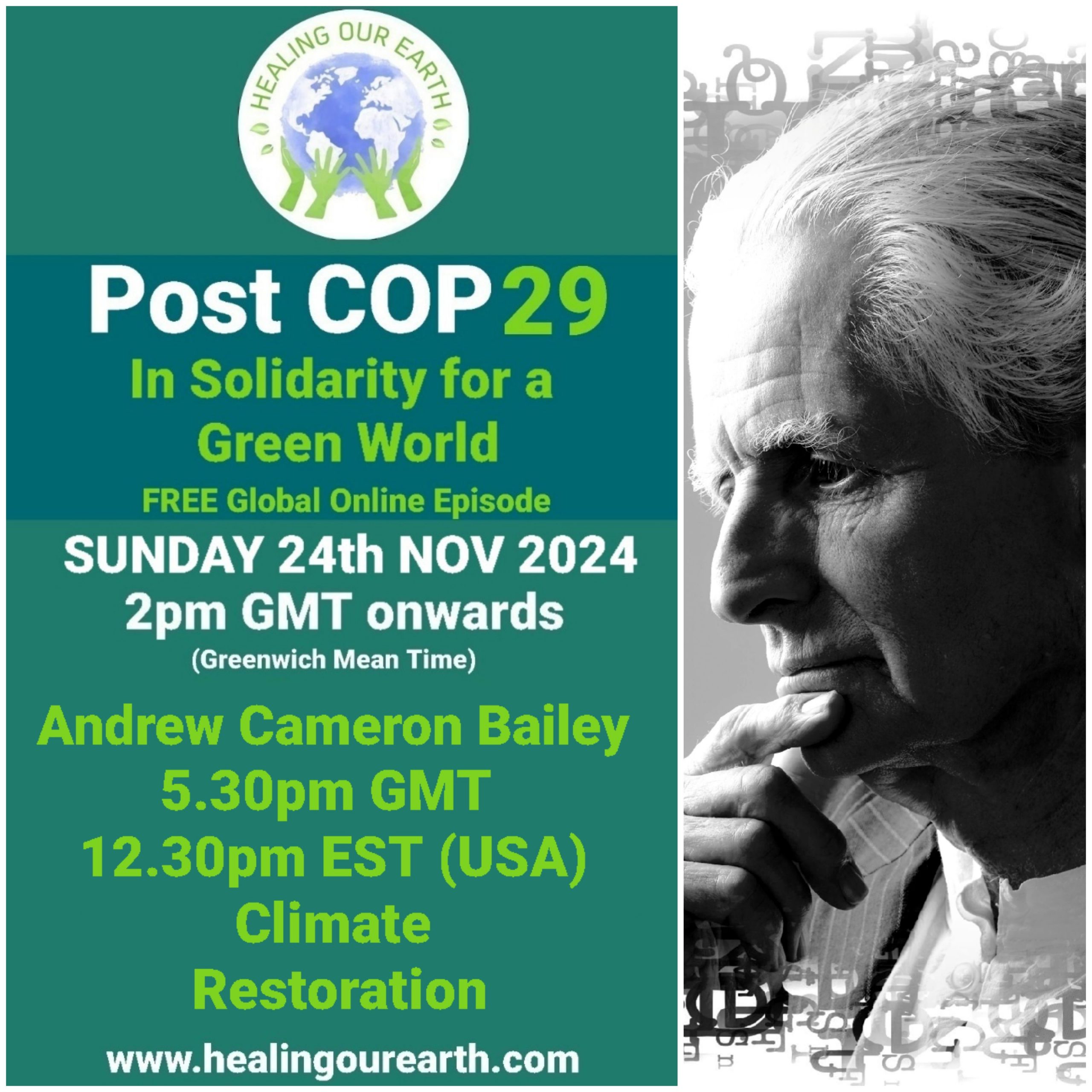 Split image with green and black text on the left reading "Post COP29: In Solidarity for a Green World," event details, and the website link. On the right, a grayscale profile of a person with white hair, resting chin on their hand, looking contemplative.